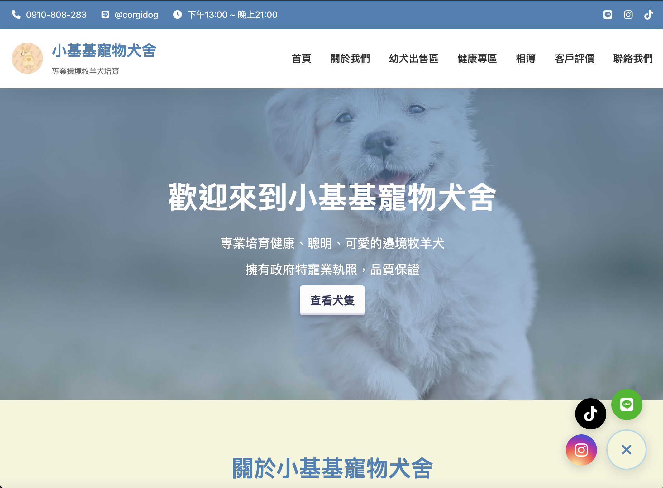 小基基寵物犬舍首頁展示 - 專業寵物領養平台網站設計